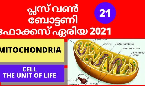PLUS ONE BOTANY FOCUS AREA 2021 | MITOCHONDRIA | CELL THE UNIT OF LIFE | MALAYALAM