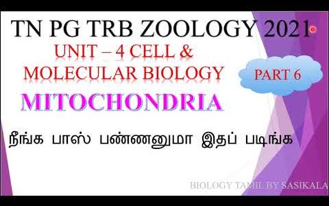 👀 TN PG TRB ZOOLOGY UNIT – 4 -CELL & MOLECULAR BIOLOGY – MITOCHONDRIA IN BIOLOGY TAMIL BY SASIKALA