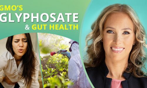 Glyphosate Toxicity | GMOs Glyphosate & Gut Health | Dr. J9 Live