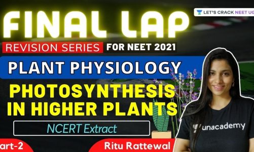 Photosynthesis in Higher Plants -2 | Final Lap Revision for NEET 2021 | NEET Biology | Ritu Rattewal