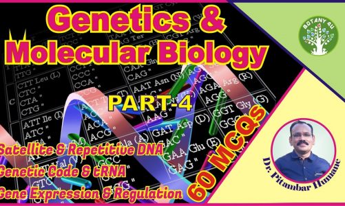 BOTANY 4U | RTMNU B  SC SEM IV BOTANY II UNIT IV | PITAMBAR HUMANE | Genetics and Molecular Biology