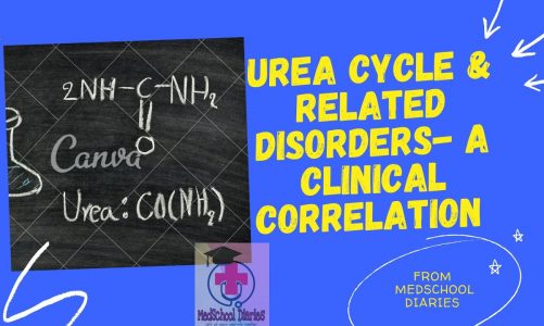 Urea Cycle and Related Disorders-A Clinical Correlation || MSD