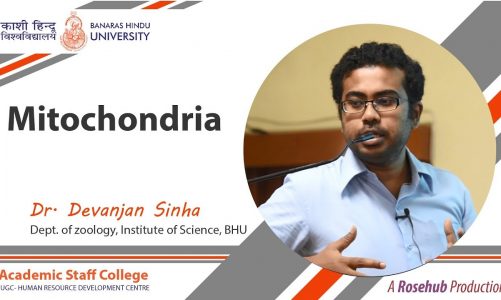 Dr. Devanjan Sinha | Mitochondria