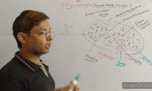 Mitochondria/Power House of Cell (NEET,AIIMS,NTSE, IJSO) Anil Vashishtha ll Vashishtha Classes