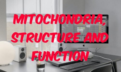 class 11th, lect 40   MITOCHONDRIA, structure and function
