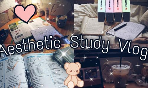 A Day in my Life | Studying Biology🌿 | Collab w/ @Mighty Mitochondria | NEET 2024 | 12 Hours Study ✨