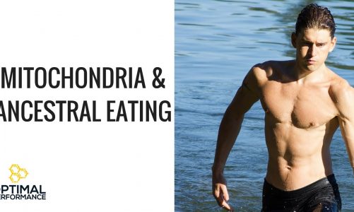 OPP 009: Mitochondria and Longevity with Ben Greenfield
