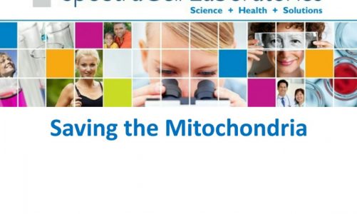 Saving the Mitochondria