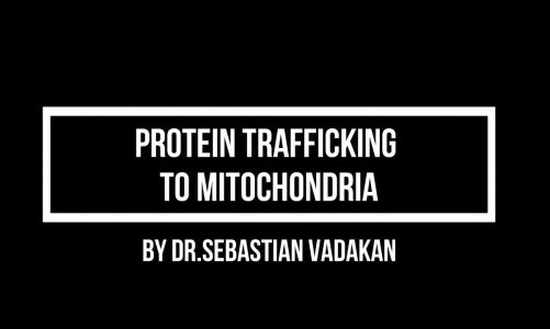 Protein Trafficking to Mitochondria