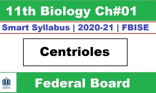 Centrioles Structure and Function Class 11 Biology, Ilmi Stars Academy