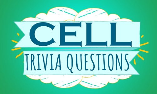 CELL TRIVIA QUESTIONS | TEACHER VLOGGER  | MISS PIE