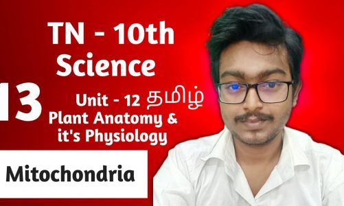 Structure of Mitochondria in Tamil | Class 10 | Science | Tamil Nadu Syllabus | Episode 13