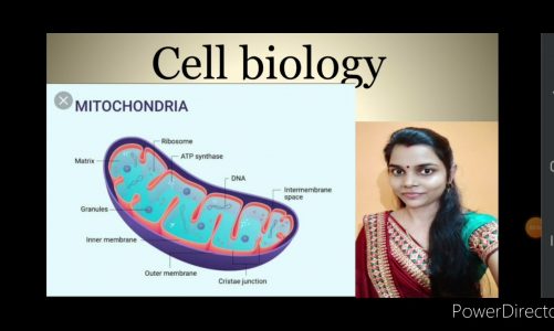 CELL BIOLOGY || Cell organelles || Mitochondria | Structure | Function || L – 7 ||