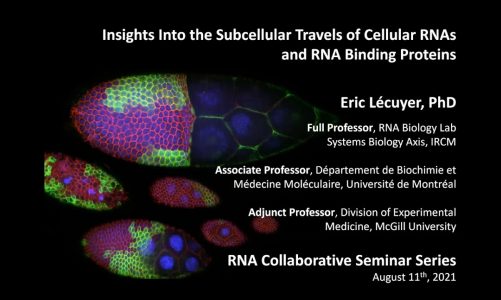 RNA Collaborative Seminar – RiboClub – August 11, 2021