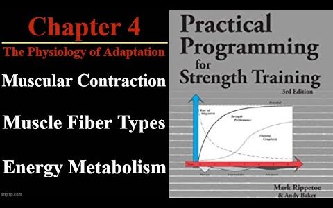 Practical Programming for Strength Training – Chapter 4 – Muscle Fiber Types