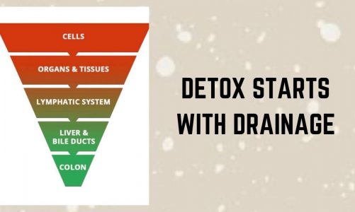 Detox Starts With Drainage
