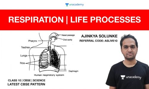 Life Processes | Respiration | CBSE Class 10 | CBSE Science Term 1 | Ajinkya Sir | Unacademy