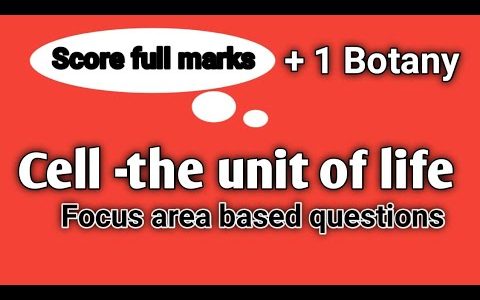 Plus one Botany/Cell/the Unit of Life/Focus area based questions