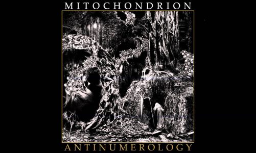 Mitochondrion – Antinumerology