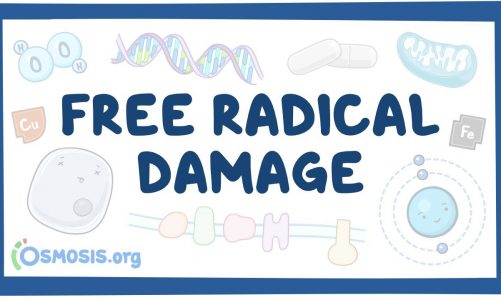Free radical damage – causes, symptoms, diagnosis, treatment, pathology