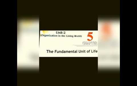 Medium-English  Class-9  Subject-Science  Chapter-5 The Fundamental unit of life( part-7)