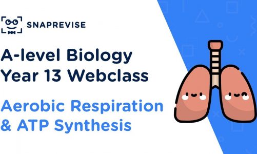 A-level Biology Year 13 Webclass: Aerobic Respiration and ATP Synthesis