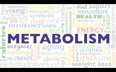 Metabolism PART 1-VIth Sem BSC-BIOCHEMISTRY -Prof Sushma A V-SIMS