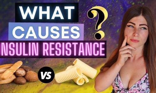 What Causes INSULIN RESISTANCE? [Too Much Fat, or Too Many Carbs]