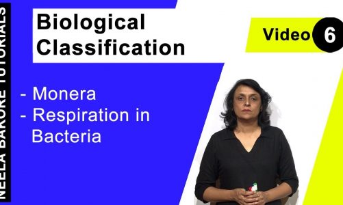 Biological Classification – Monera – Respiration in Bacteria