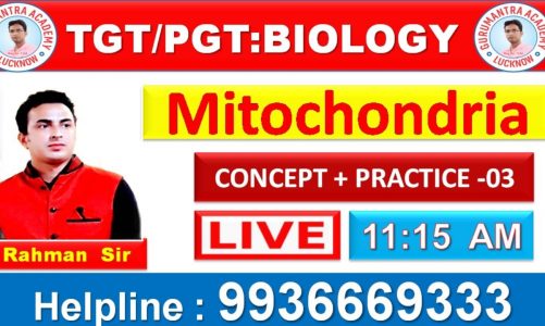 TGT/PGT: Biology || Mitochondria || By Rahman Sir