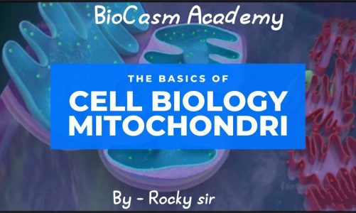 mitrochondria ((cell biology)) by:-Rocky sir