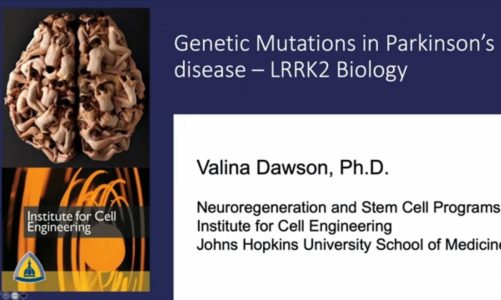 Genetic Mutations in Parkinson's Disease | 2019 Udall Center Research Symposium