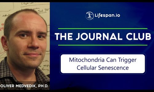 Mitochondria Can Trigger Cellular Senescence