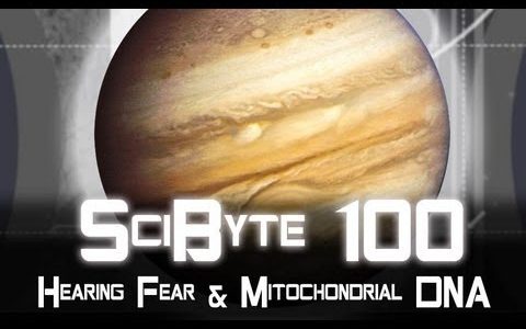 Hearing Fear & Mitochondrial DNA | SciByte 100