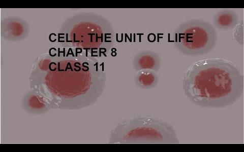 Cell : The Unit of Life 3