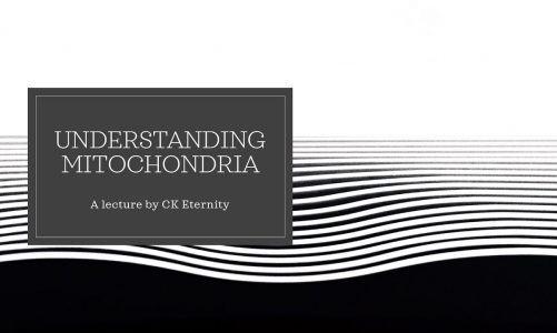 Understanding Mitochondria  – Biochemistry Lecture