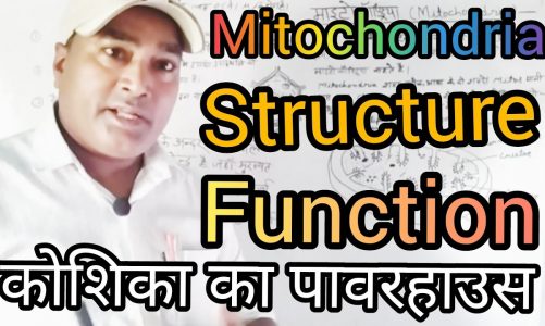 Mitochondria Structure And Function/माइटोकांड्रिया की संरचना एवं कार्य/Power house of Cell