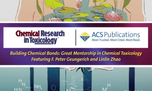Great Mentorship in Chemical Toxicology Featuring F. Peter Geungerich and Linlin Zhao