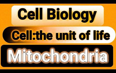 Class11Agriculture Botany| Cell:the Unit of life|कोशिका :जीवन की इकाई| Mitochondria (माइटोकांड्रिया)