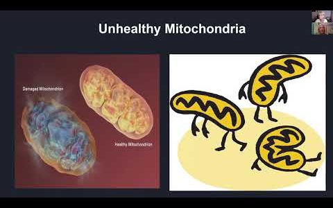 Let's Make Energy:  Make more Mitochondria