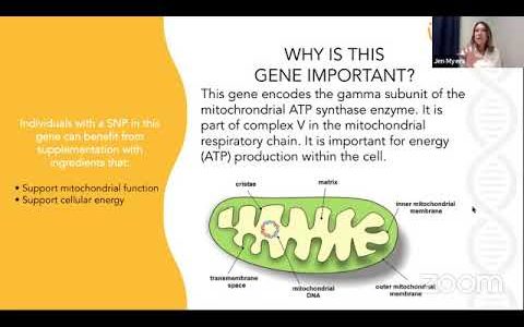 08-21-19 – Dr Jen Myers – Mitochondria – NQ01 & ATP5C1