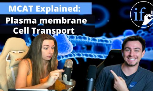 Active and Passive Transport, Plasma Membrane Composition and Behavior – MCAT Secrets