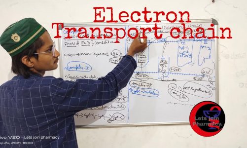 Electron transport chain|BIOCHEMISTRY