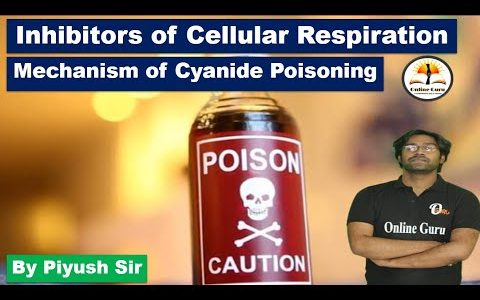 Cyanide Poisoning By Piyush Sir