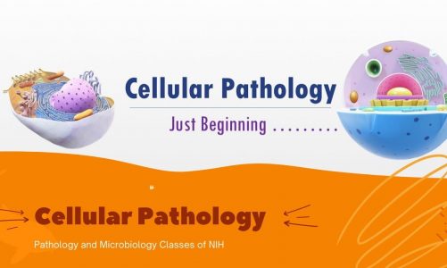 Cellular Pathology – Part-I : Introduction | Pathology and Microbiology Classes Of NIH