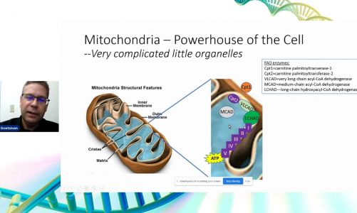 How Mitochondria Change & Understanding Strange Words: ROS & Cardiolipin- Dr. Eric Goetzman
