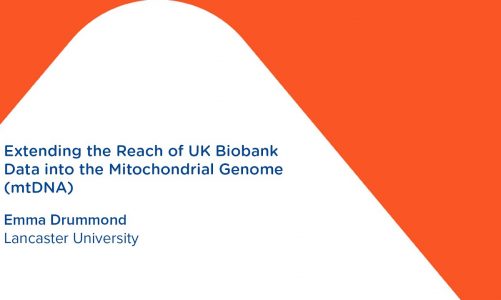 Extending the Reach of UK Biobank Data into the Mitochondrial Genome