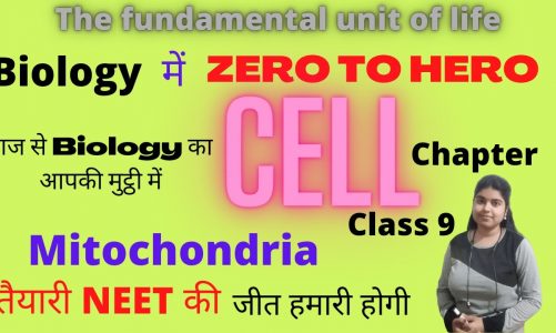 8. Cell- Mitochondria THE FUNDMENTAL UNIT OF LIFE CELL (CLASS 9) BIOLOGY