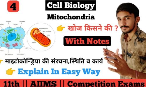 Mitochondria In Hindi (माइटोकोन्ड्रिया) || संरचना,उपनाम,कार्य | Cell Biology (4/8) || By Dadhich Sir