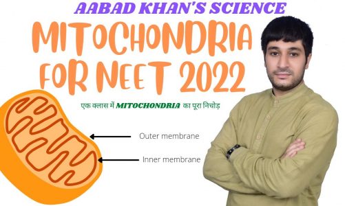 MITOCHONDRIA FOR NEET 2022